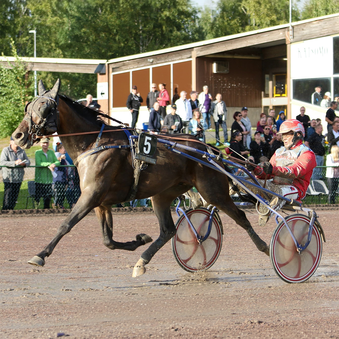 Administer Tilitoimisto - Miksi valita Administer